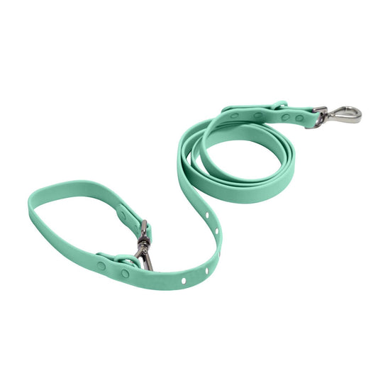 Mint Green Collar & Lead Set