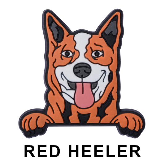 RED HEELER