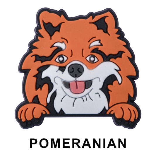 POMERANIAN