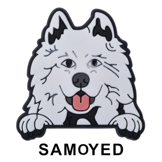 SAMOYED