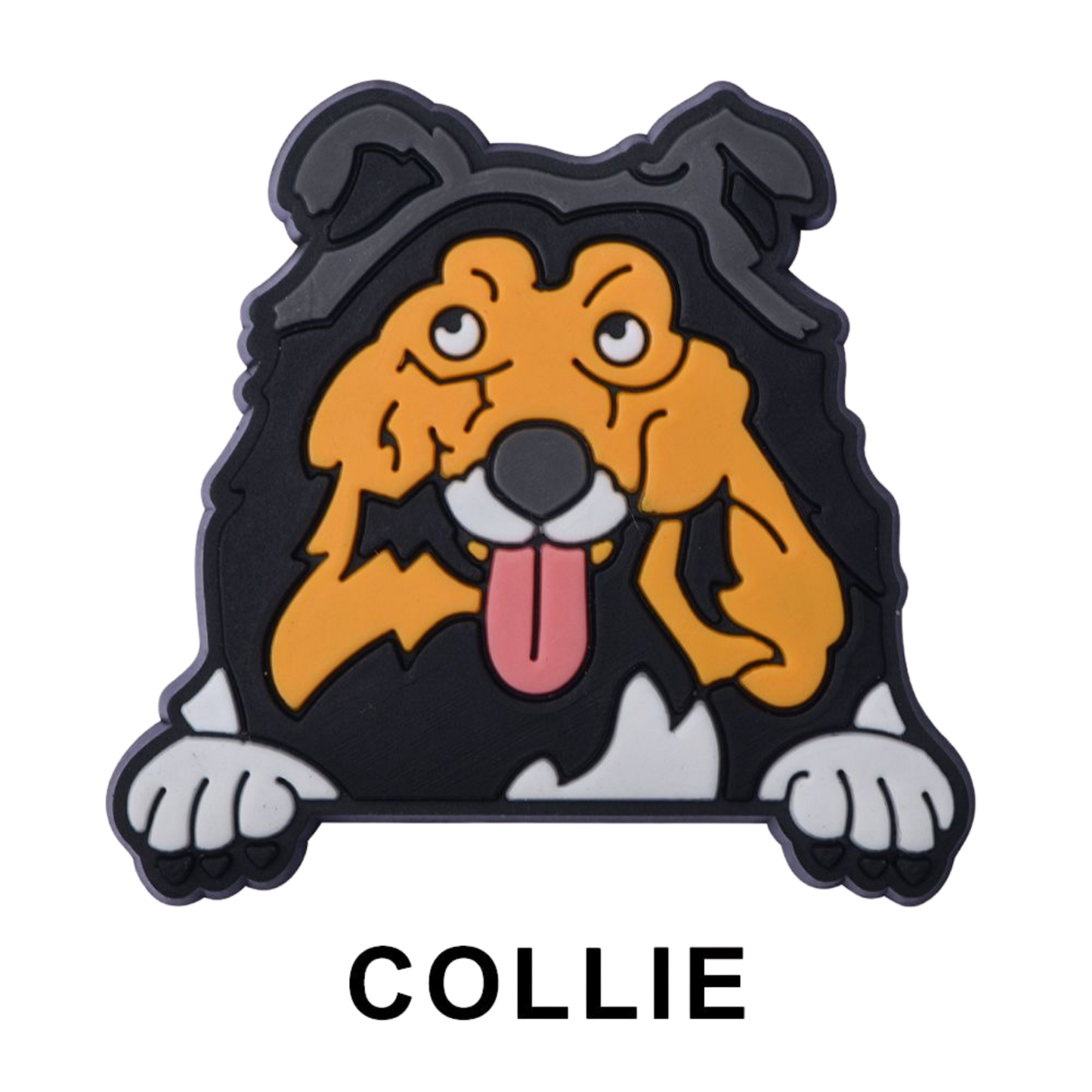 COLLIE