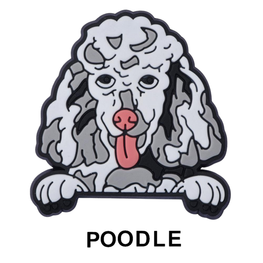 POODLE