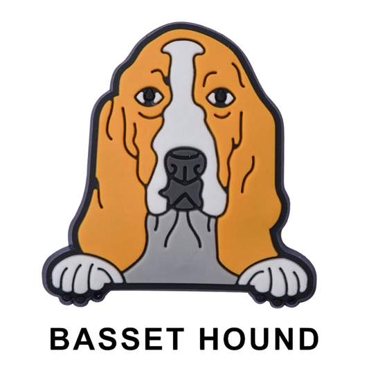 BASSET HOUND