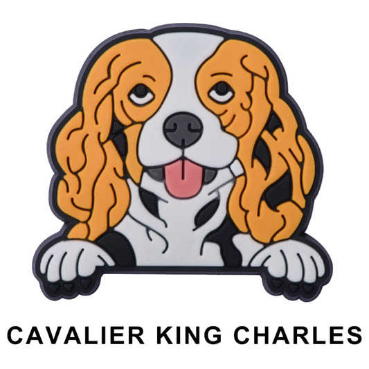 CAVALIER KING CHARLES