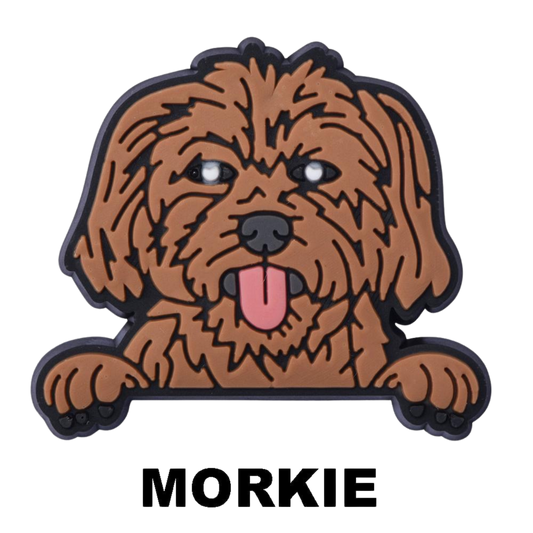 MORKIE