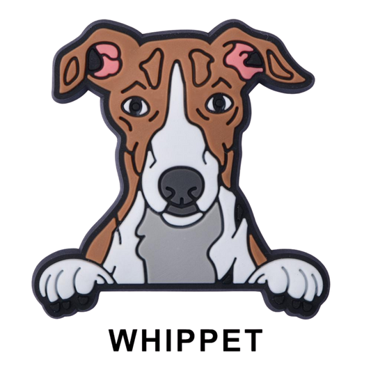 WHIPPET