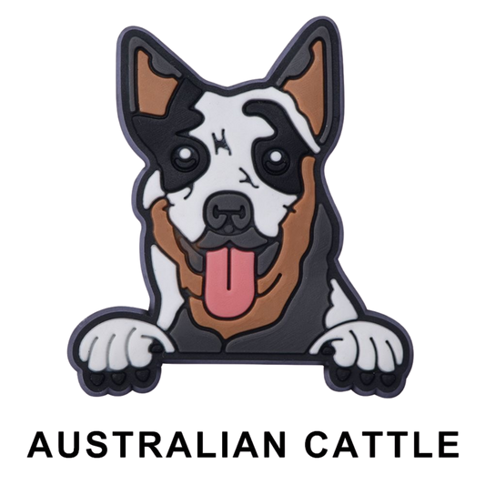AUSTRALIAN CATTLE