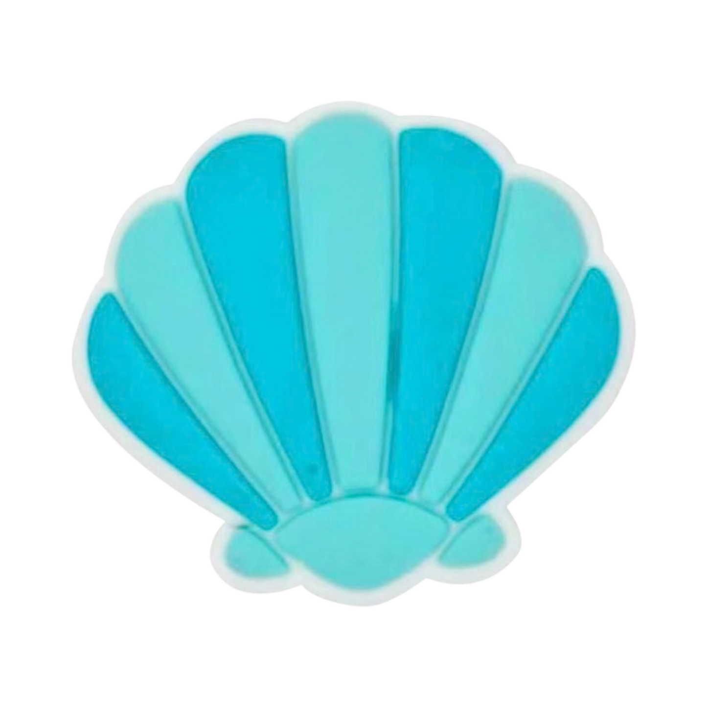 TEAL SEASHELL