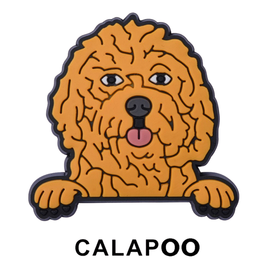 CAVAPOO
