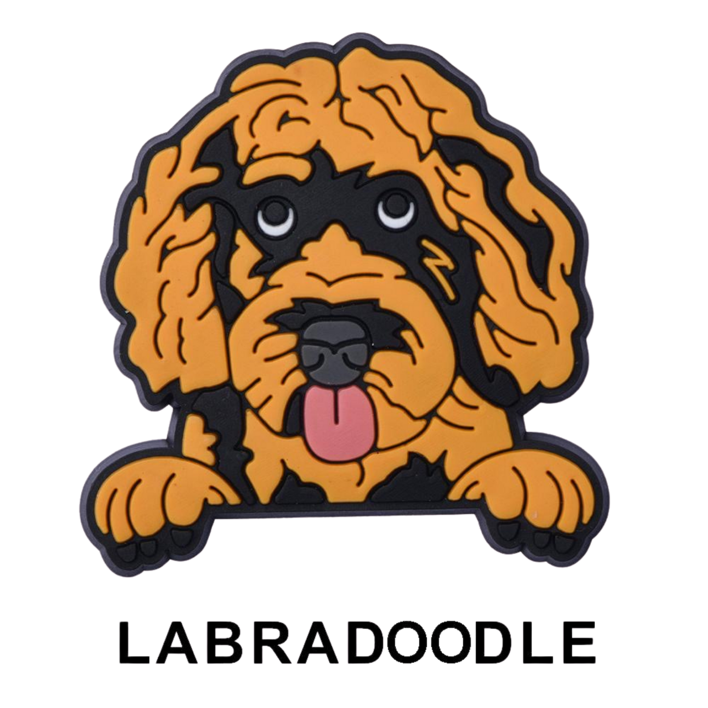 LABRADOODLE