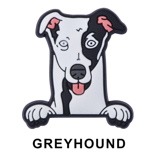 GREYHOUND