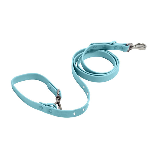 Bubblegum Blue Collar & Lead Set