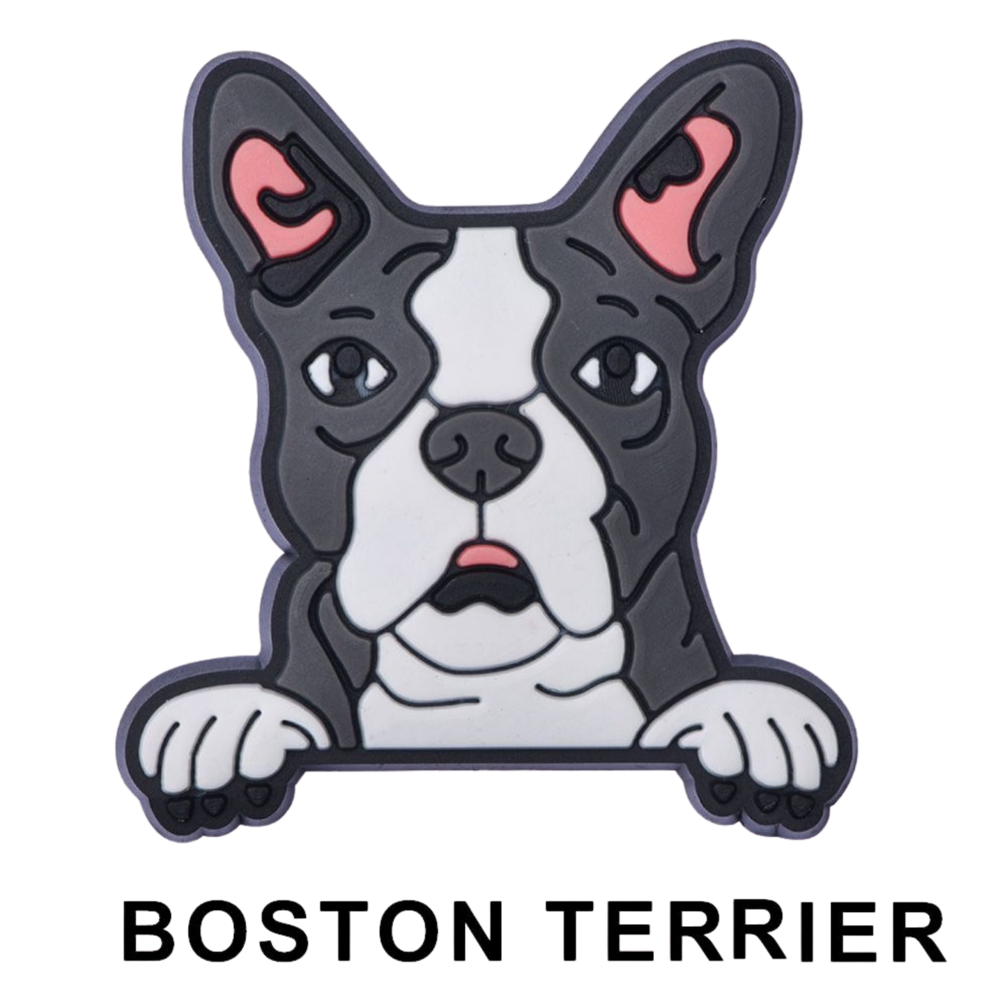 BOSTON TERRIER