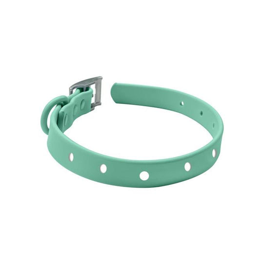 Mint Green Collar & Lead Set
