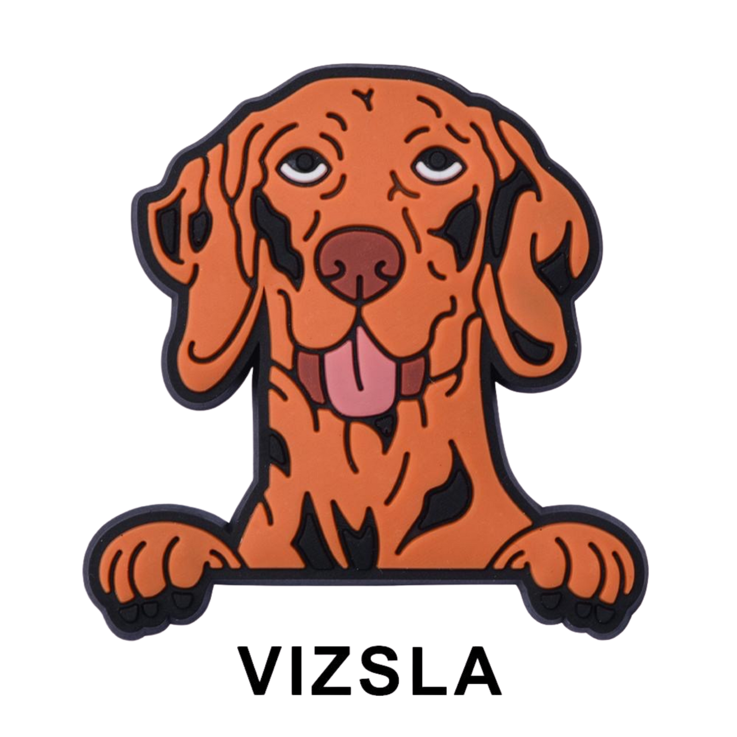 VIZSLA