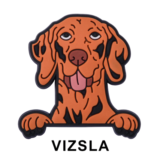 VIZSLA