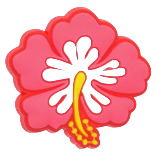 CORAL HIBISCUS