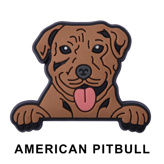 AMERICAN PITBULL