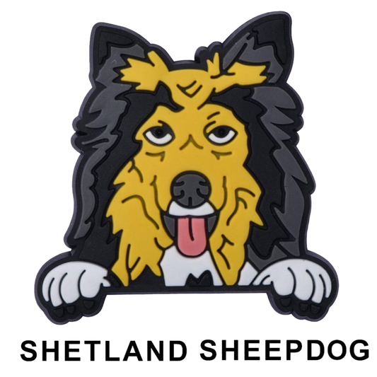 SHETLAND SHEEPDOG