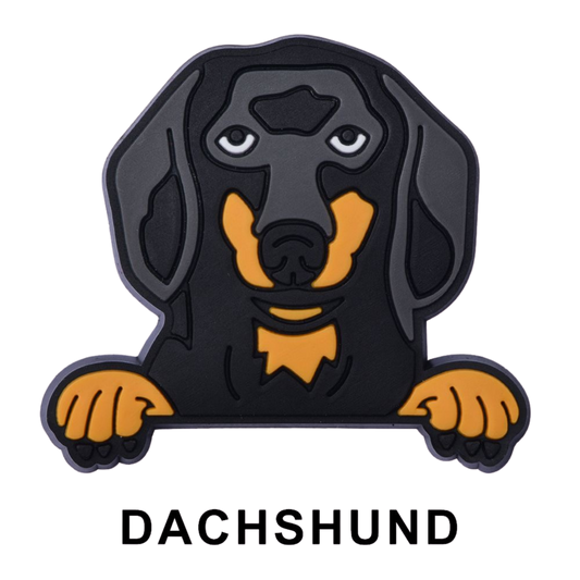 DACHSHUND