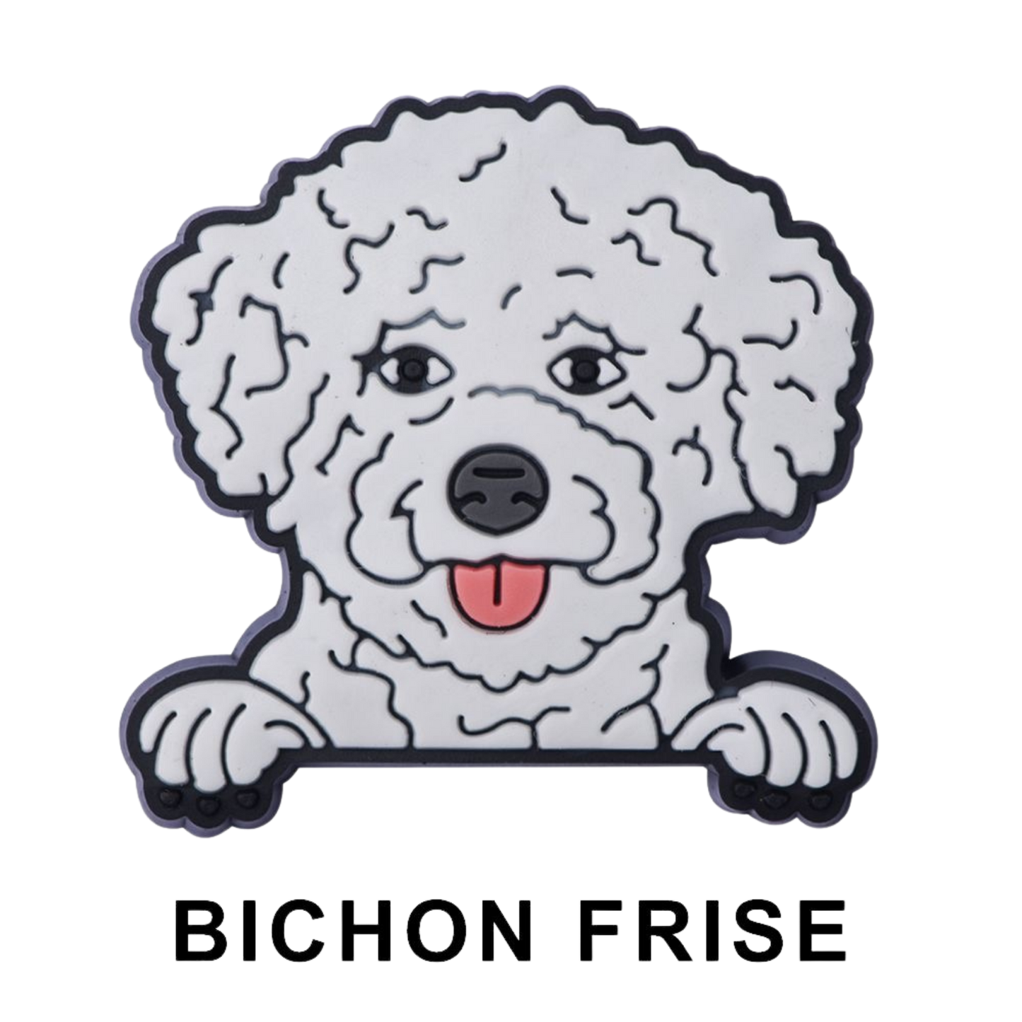 BICHON FRISE