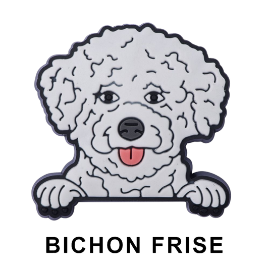 BICHON FRISE