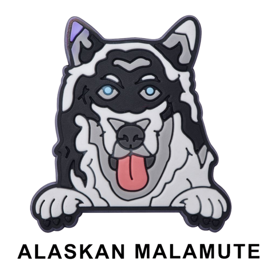 ALASKAN MALAMUTE
