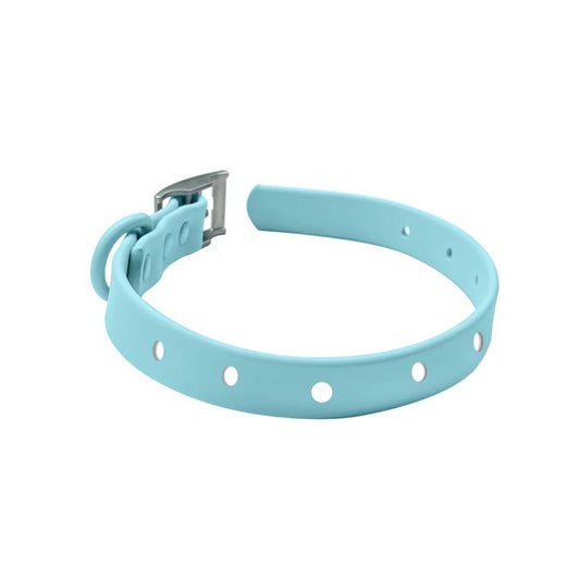 Bubblegum Blue Collar & Lead Set
